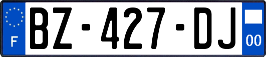 BZ-427-DJ