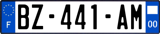 BZ-441-AM