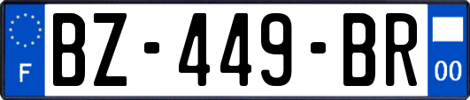 BZ-449-BR