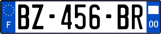 BZ-456-BR