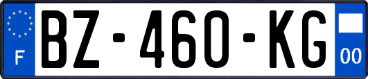 BZ-460-KG