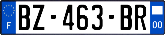 BZ-463-BR