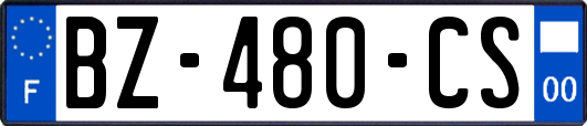 BZ-480-CS