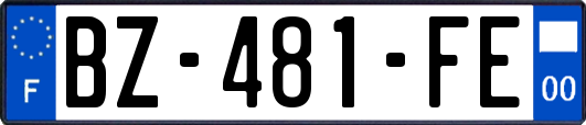 BZ-481-FE