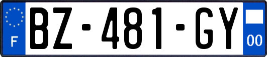 BZ-481-GY