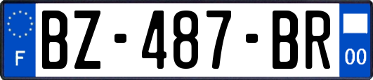 BZ-487-BR