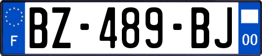 BZ-489-BJ