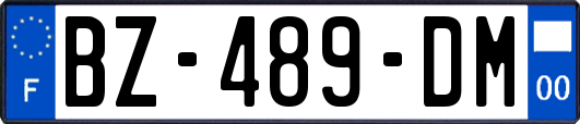 BZ-489-DM