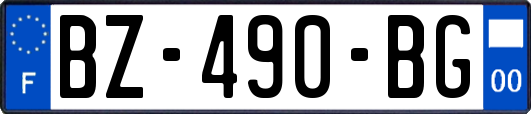 BZ-490-BG