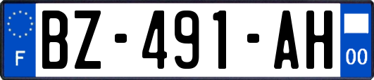 BZ-491-AH