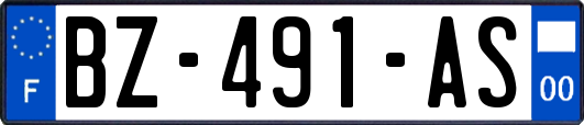 BZ-491-AS