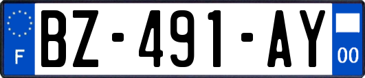 BZ-491-AY