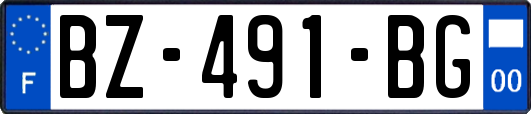 BZ-491-BG