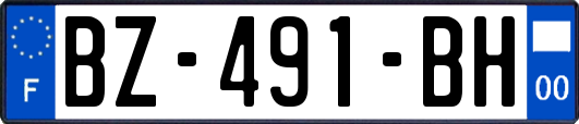 BZ-491-BH