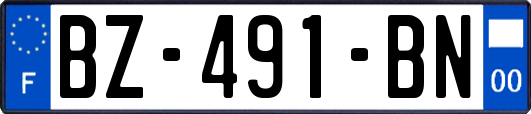 BZ-491-BN