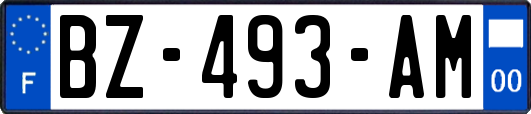 BZ-493-AM