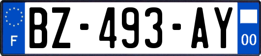 BZ-493-AY