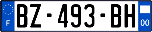 BZ-493-BH