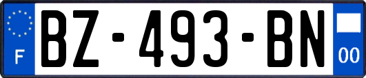 BZ-493-BN