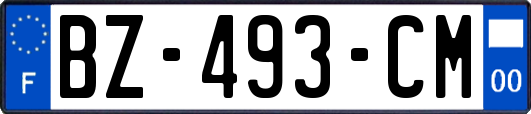 BZ-493-CM