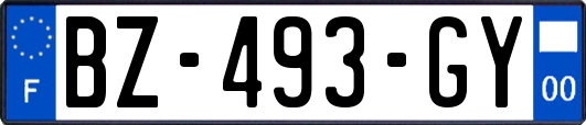 BZ-493-GY