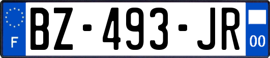 BZ-493-JR