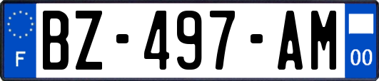 BZ-497-AM