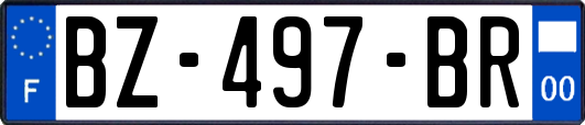 BZ-497-BR