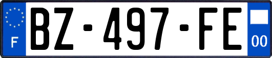 BZ-497-FE