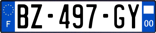 BZ-497-GY