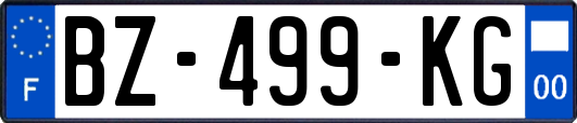 BZ-499-KG