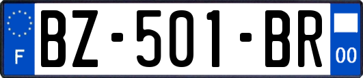 BZ-501-BR