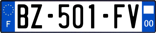 BZ-501-FV