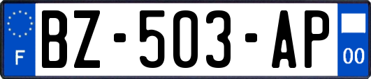 BZ-503-AP