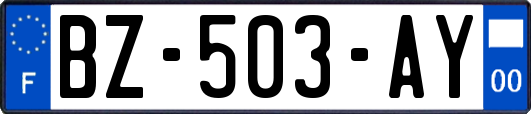 BZ-503-AY