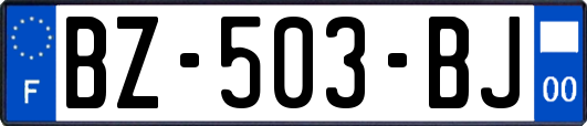 BZ-503-BJ