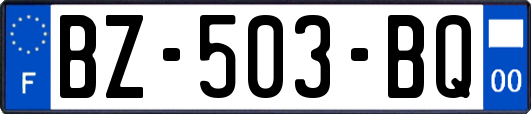 BZ-503-BQ