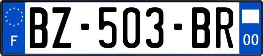 BZ-503-BR