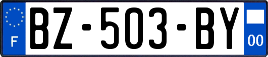 BZ-503-BY