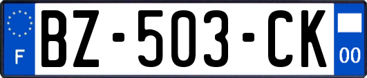 BZ-503-CK