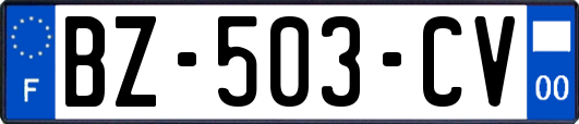 BZ-503-CV