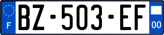 BZ-503-EF