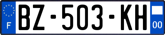 BZ-503-KH