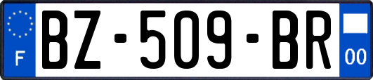 BZ-509-BR