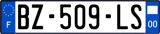 BZ-509-LS