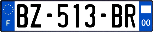 BZ-513-BR