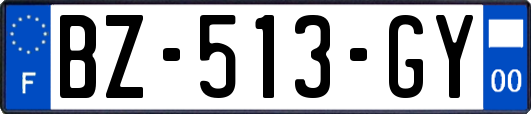 BZ-513-GY