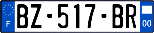 BZ-517-BR