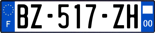 BZ-517-ZH