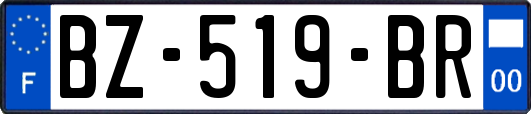 BZ-519-BR